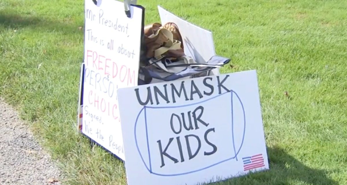 Conn. Freedom Groups Rally at State Capitol – NBC Connecticut